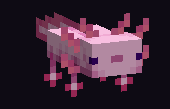 Axolotl